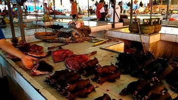 Pasar Ekstrim Tomohon