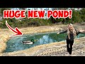 WE BUILT A HUGE POND FOR ALL MY PETS! | Farm Vlog