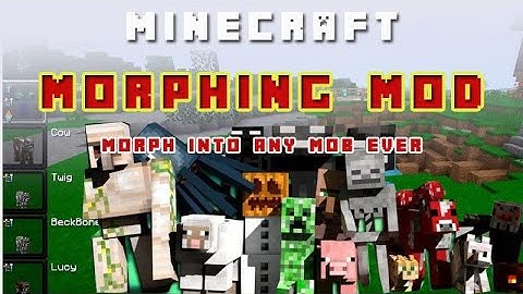 How to download the morph mod in the Minecraft Java edition in 1.20.1.  #minecraft #morph