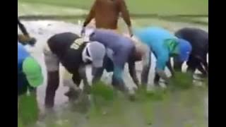 Tandur tercepat sepanjang masa