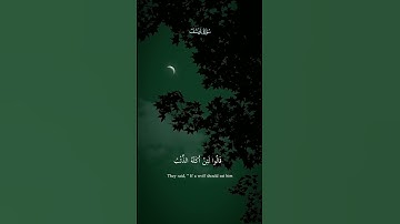 قَالَ إِنِّي لَيَحْزُنُنِي أَن تَذْهَبُوا بِهِ/سورة يوسف |سيد سعيد #قرآن