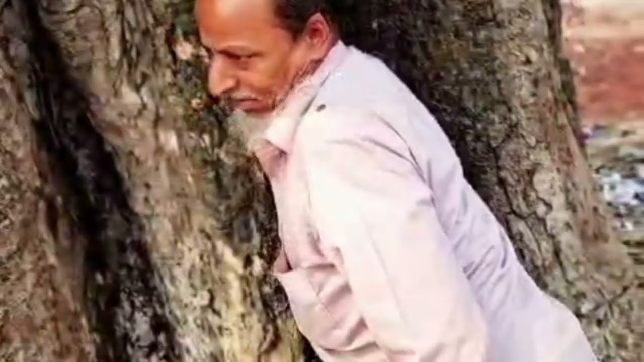 ক্ষদি মাসি মধু কিভাবে সংগ্রহ করে# video#hani