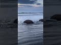 Beach Day in New zealand