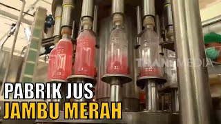 Kepoin Pabrik Pembuatan Jus Jambu Merah | SI UNYIL (27/03/20) Part 1