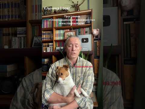 Видео: Признаци на задържаната плацента при кучета майки