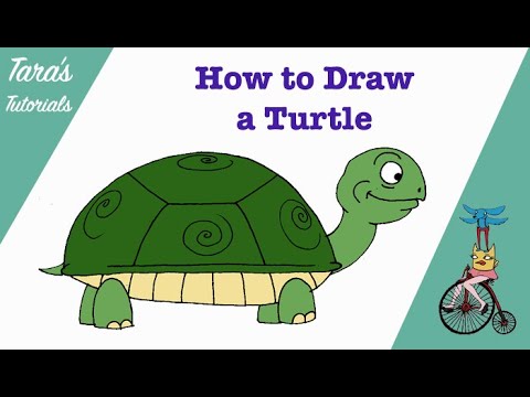 How to Draw a Cartoon Turtle - YouTube