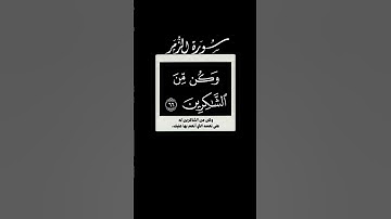سورة الزمر🌱 شاشه سوداء 🌱 عبدالمحسن القاسم 🌱