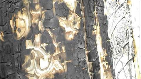 How to Keep Your Tent From blowing Away