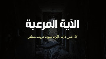 أجمل حالات واتس اب قرآن كريم بصوت جميل جدا | صوته راحة نفسية Quran status 🌧💙.