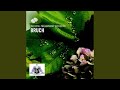 Miniature de la vidéo de la chanson Scottish Fantasy, Op. 46: V. Finale: Allegro Guerriero