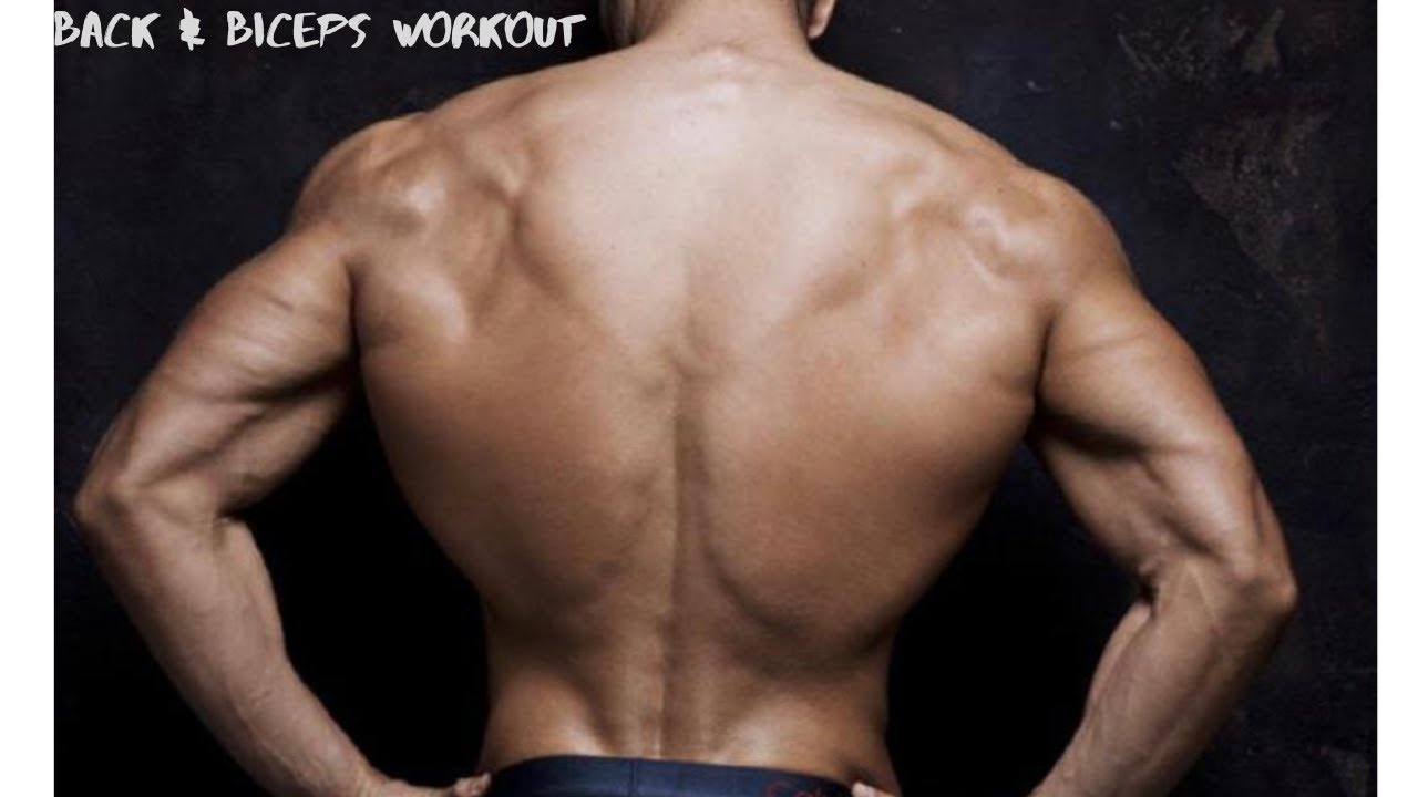 [Width & Thickness] Back and Biceps Workout - YouTube