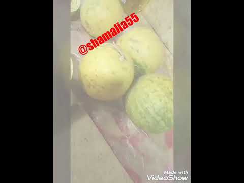 اقوى علاج لآلام الركب والمفاصل وحالات الروماتيزم والروماتويد الحنظل