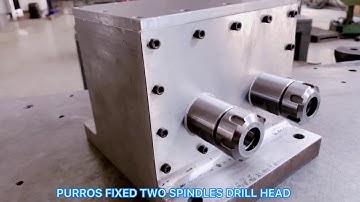 Fixed two spindles drill head, Multi spindle heads - Purros Machinery