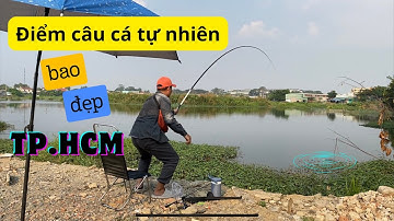 Điểm câu cá tự nhiên bao đẹp cho anh em TPHCM