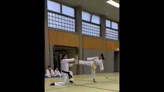 Kr-Erturk Taekwondo
