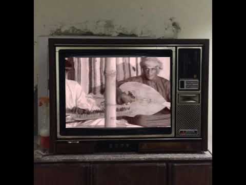 حمدان الوطني صادفت ضبي جميل يرعى جميم الشجر