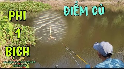 câu cá rô phi quay lại điểm cũ với cám rô phi 1 bịch tổng hợp / sythoaimai