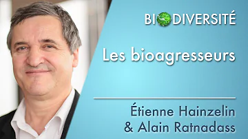 Quels sont les bioagresseurs ?