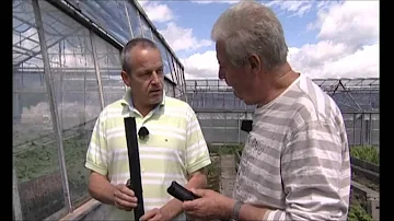 Jak se mění olejové tmely?