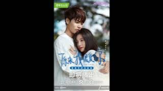 WEI CHEN - FALL (PIANO VERSION) | CRUSH |