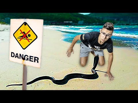 Video: Najopasnije plaže na svijetu