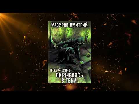 Обзор книги "Теневой путь2-Скрываясь в тени"