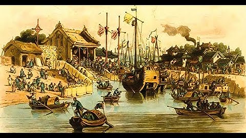 Hành Trình Khám Phá Cây Lúa: Từ Khởi Nguồn Đến Nền Văn Minh Hiện Đại