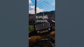 #لايك#قرآن#سورة_يس#المنشاوي#تلاوة_خاشعة #قرآن_كريم #Quran #foryou #راحة_نفسية #اكسبلور #viral #short