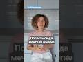 Попасть сюда мечтали многие #грузия #тбилиси #отель #гостиница #отдых #история