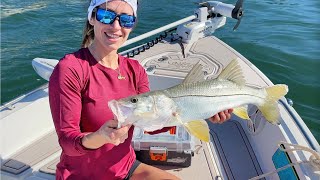Snook Fishing, Baby Chick Unboxing &amp; MORE!