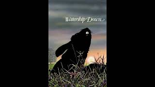 Watership Down (film) Review