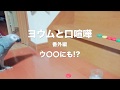 ヨウムと口喧嘩！番外編 ウ〇〇に「コラッ！」