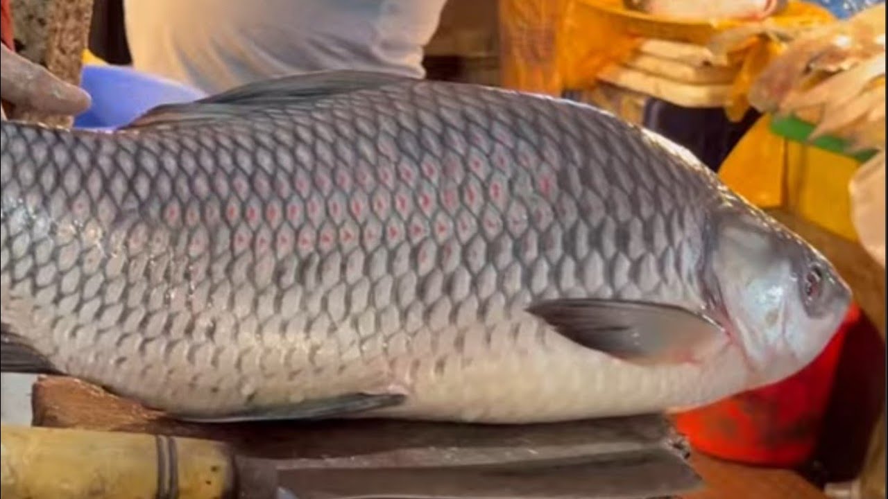 Fast Fish Cutting Skills | Amazing Rohu Fish Cutting Skills - YouTube