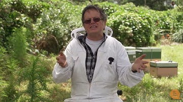 Methods of Varroa Mite Treatment