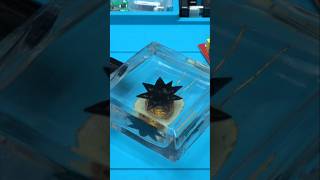 Ferrofluid Speaker!