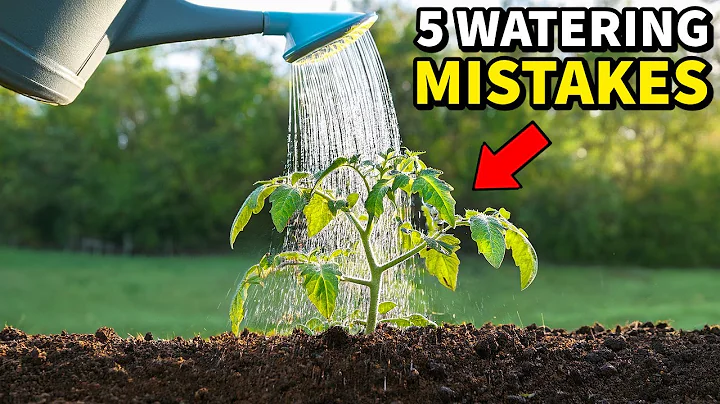 5 Mistakes You Must NEVER Make Watering Your Garden