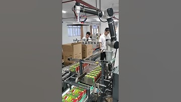 Robotic Arm Palletizing Automated Production 5kg 10kg 15kg Industrial Collaborative #machine #robot