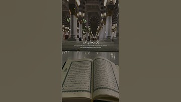 #سورة_الزمر #أحمد_بن_طالب #يوتيوب #قرآن #اكسبلور #تلاوة_خاشعة #quran