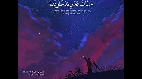 راحة نفسية 🌷 قرآن كريم بصوت أحمد النفيس / حالات واتس اب قرآن كريم 💙🎧