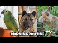 60 animals make my winter mornings extra special 