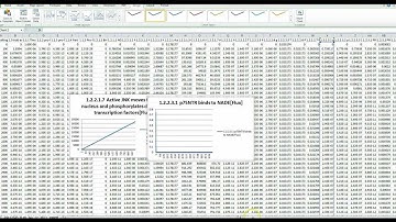 Report Files Review in Excel COPASI