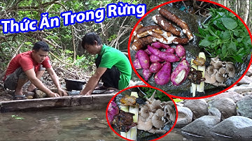 VÀO RỪNG ĐỊNH CƯ | T9 - Sống Trong Rừng, Cuộc Sống Hoang dã, Trải Nghiệm Trong Rừng