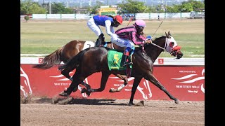 JAMAICA RACING: REJECTED RAJA WINS IN STEWARDS’ ROOM | CAYMANAS (SUN. JAN 15, 2023) 3rd