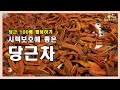 당근 활용하기 내몸에 딱 좋은 당근차 만들기