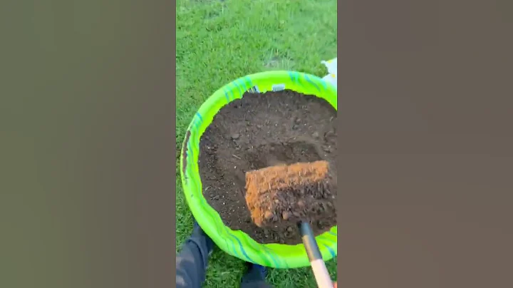 Lawn repair Test 1