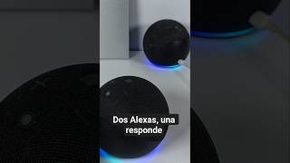 Dos Alexas, una responde #echodot #amazon #tecnologia #alexa #domotica #configuraralexa
