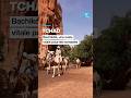 Tchad : Bachikélé, une oasis vitale pour les nomades • FRANCE 24