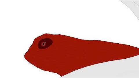 Scp-682 vs Bridge worm(OLD)