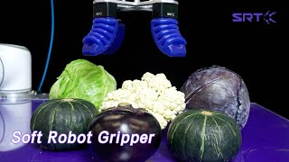Food Soft Robot Gripper 250g Load FDA For Production Packaging screenshot 1