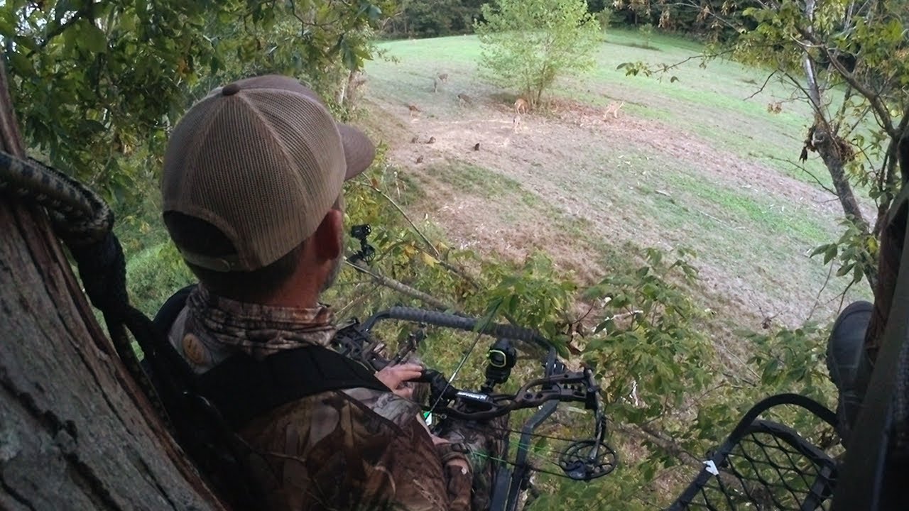 Kentucky Archery Adventures During Velvet Deer Season YouTube